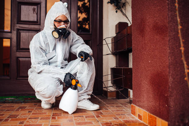 Reliable Ant Control contractor in Fort Meade, MD by Nex Pest Control